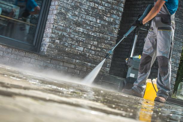 Best Animal Enclosure Cleaning  in Byhalia, MS